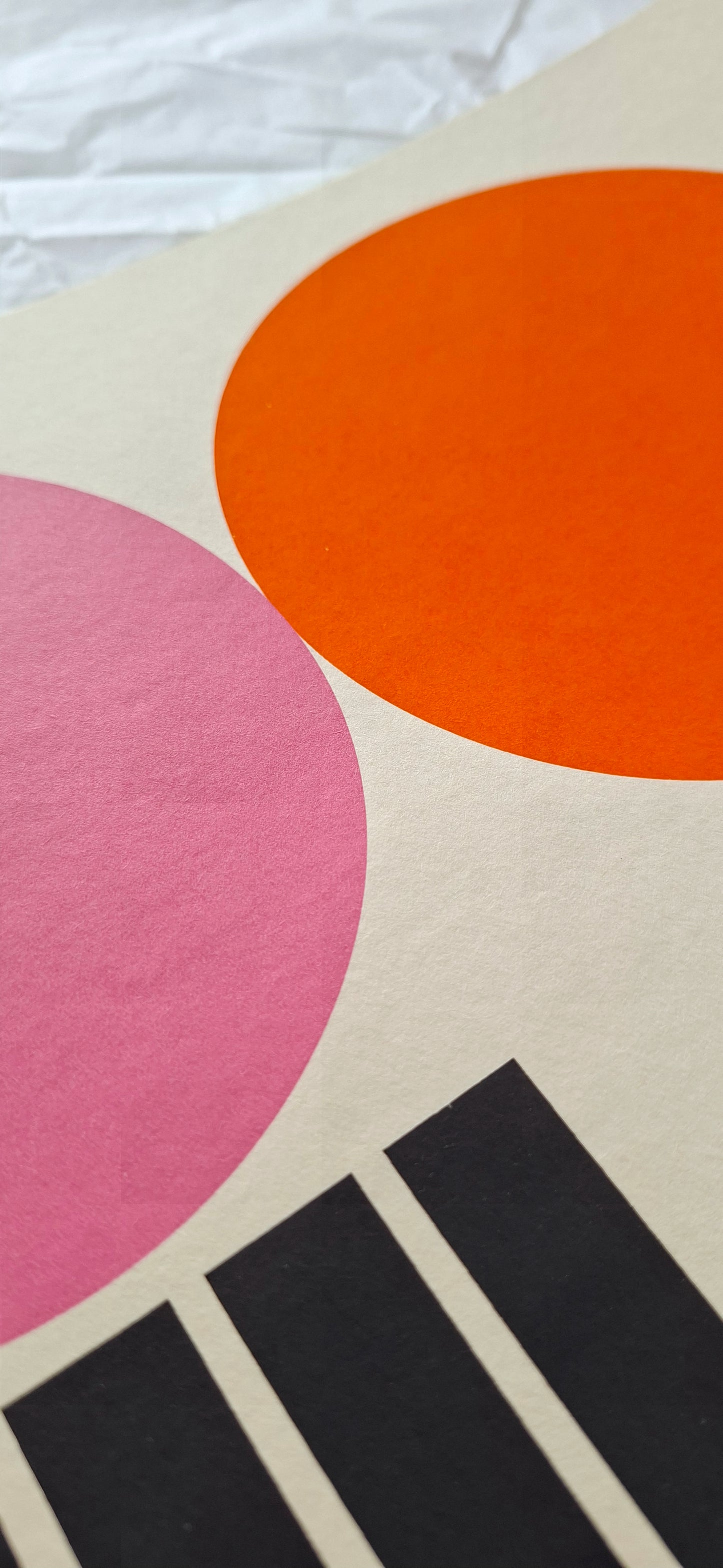 Detail of Biocode by Eilena Braye — perfect manual registration - hand-signed and numbered limited edition